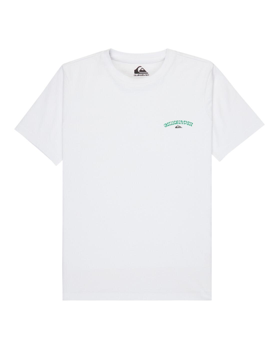 QUIKSILVER picture