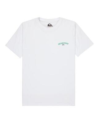 T-shirt met korte mouwen quiksilver model eqbzt04964-mkt0 voor jongens