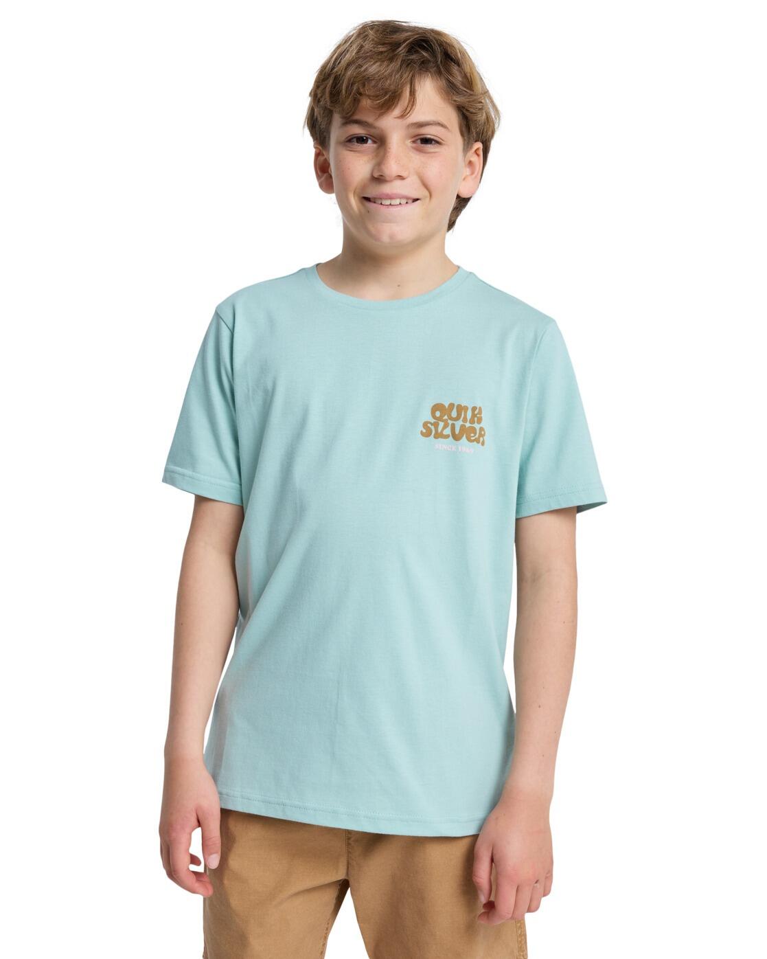 QUIKSILVER picture