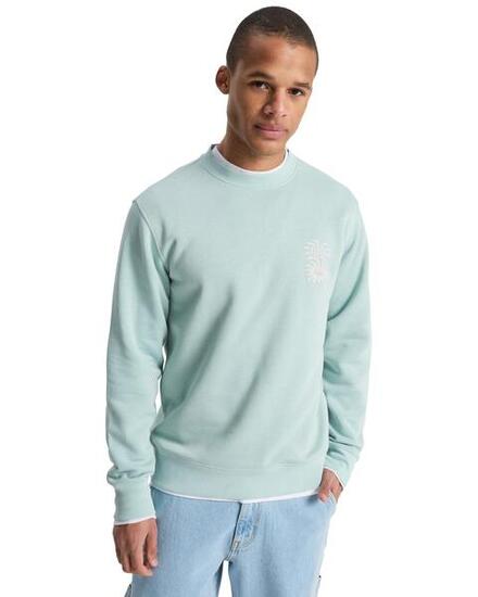 Sweatshirt SALT WATER GRAPHIC Braun Herren