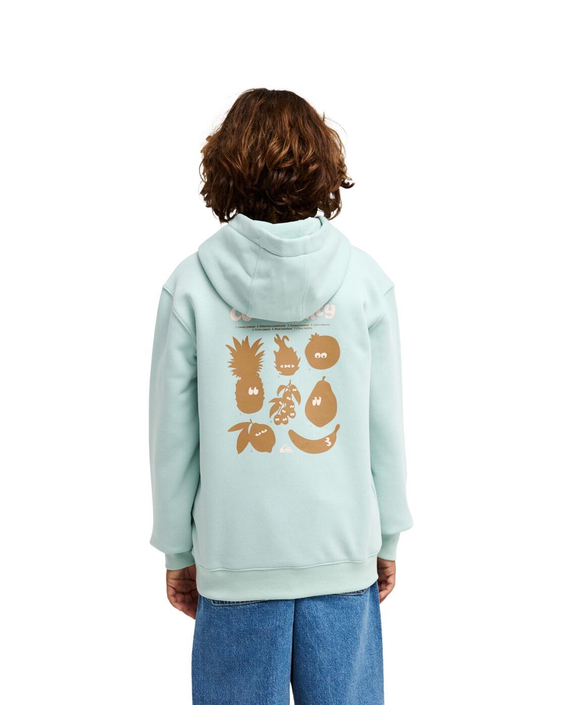 Sweat à capuche GRAPHIC Bleu Garçon 2/4