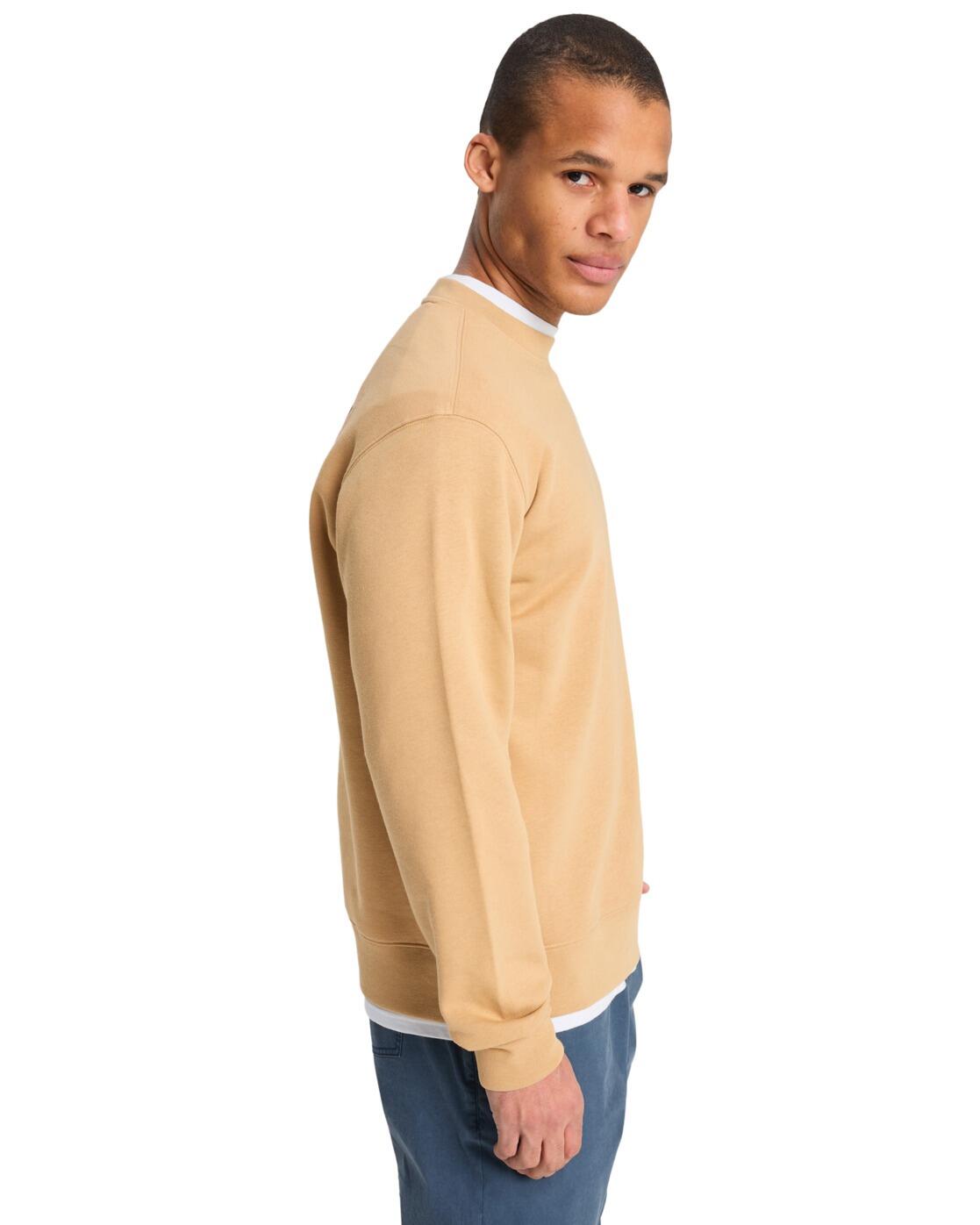 Sweat SALT WATER GRAPHIC Beige Homme 3/4