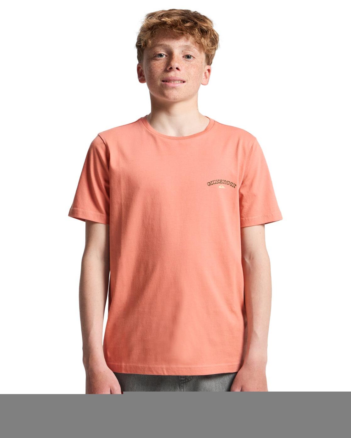 QUIKSILVER picture