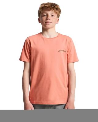 T-shirt met korte mouwen quiksilver model eqbzt04964-mkt0 voor jongens