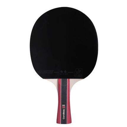 Raquette de tennis de table Sport 300