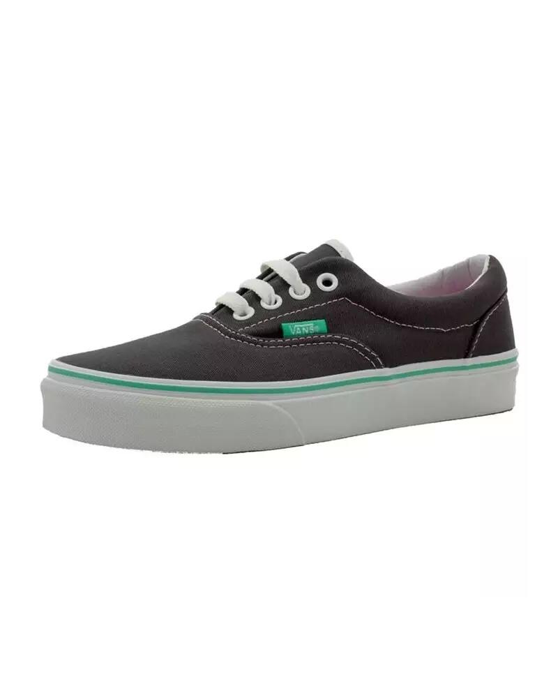 VANS picture