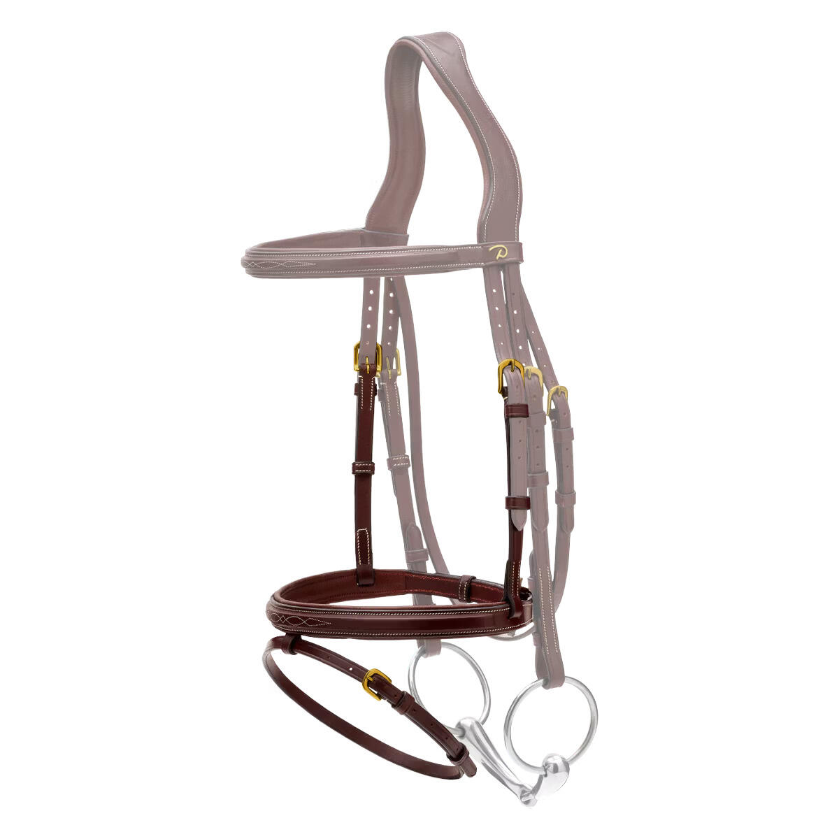 Muserolle cheval Dy'on 1/1