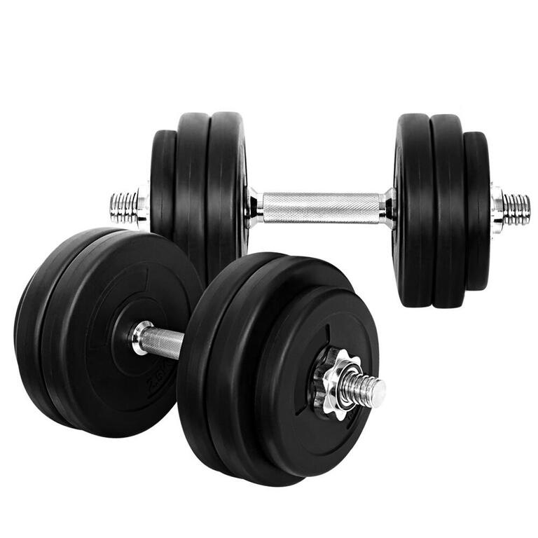 Everfit 30kg dumbbell set with weight plates and lifting bench