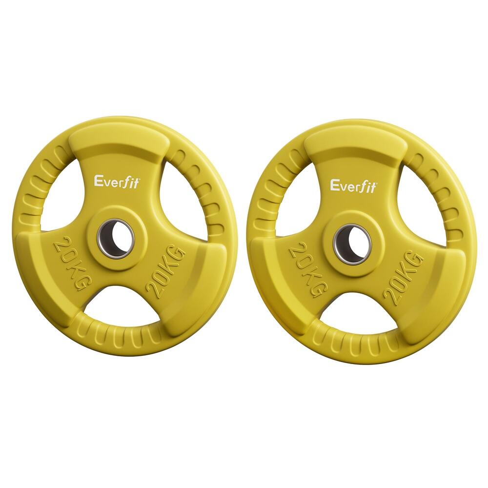 Everfit Weight Plates Olympic 20kgx2 Dumbbell Barbell Plate