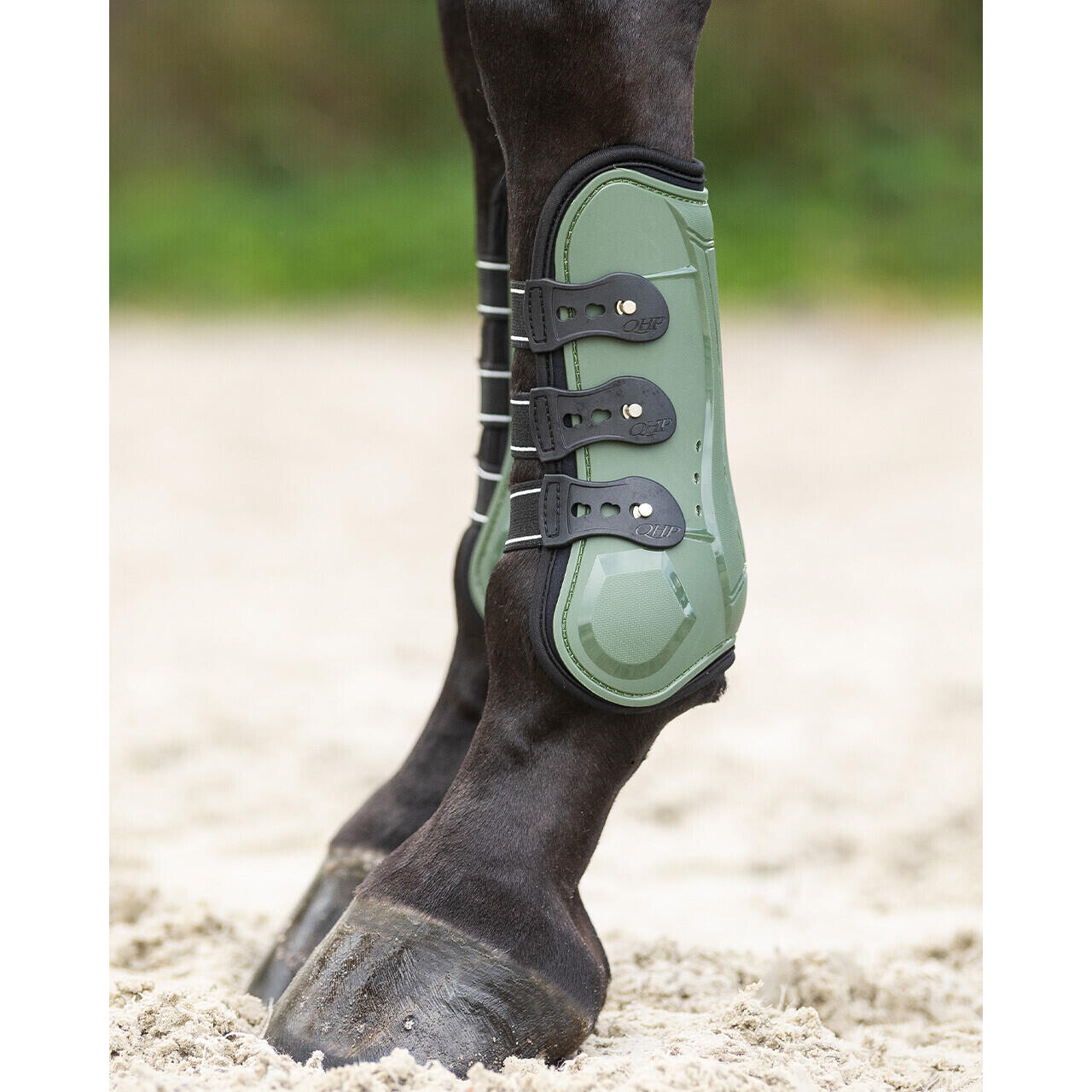 Stivali da cavallo QHP Champion 3/4