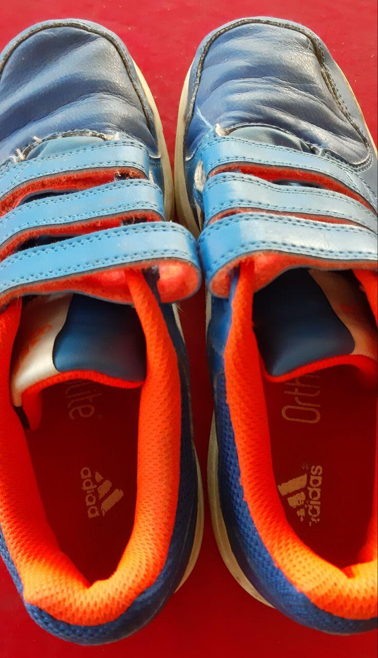 Entre Particuliers - ADIDAS Chaussures de sport Taille 36 2/5