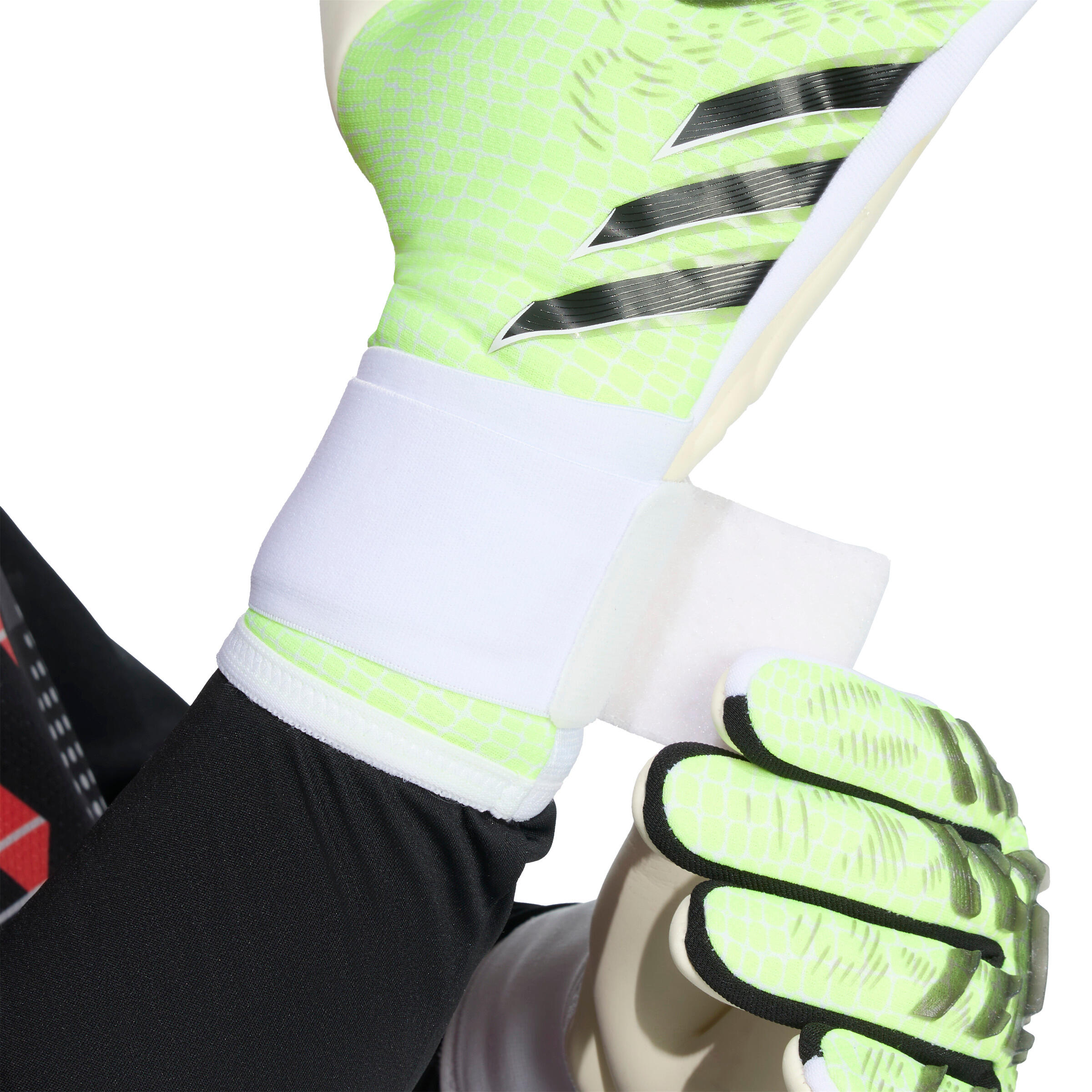 Luvas de guarda-redes adidas Predator Glove Competition 6/6
