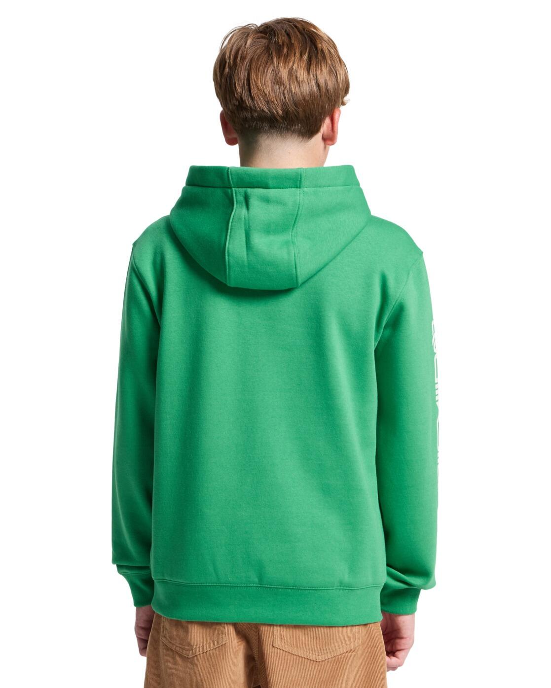 Sweat à capuche OMNI LOGO Vert Garçon 2/4
