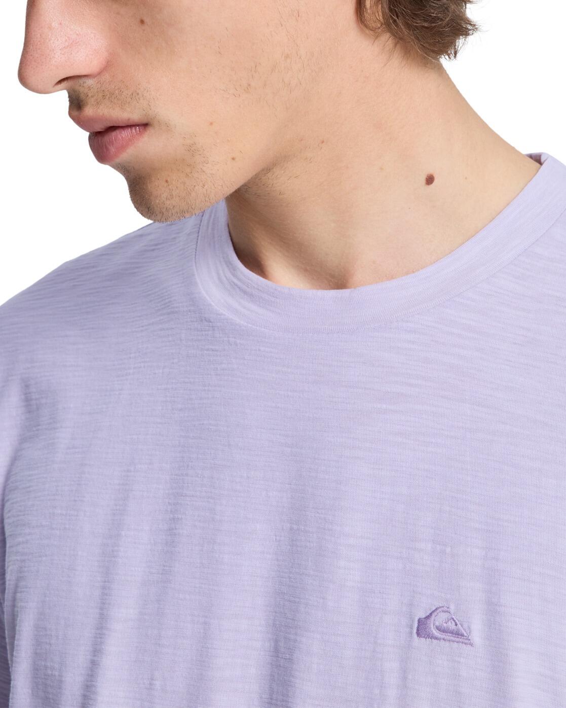 T-shirt à manches courtes SLUB ROUNDNECK Violet Homme 4/4