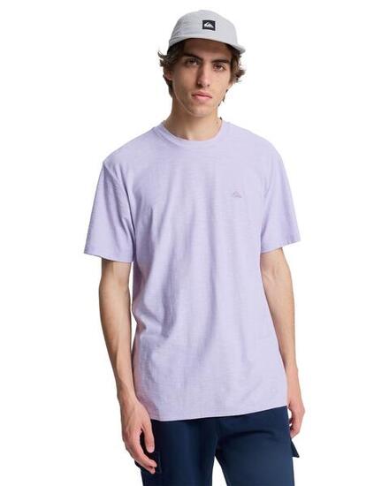 T-shirt à manches courtes SLUB ROUNDNECK Violet Homme