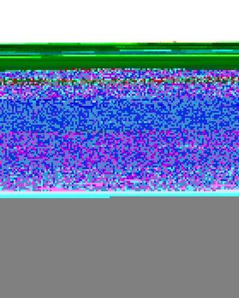 Casquette trucker CLASSIC FOAM Vert Jeune Garçon