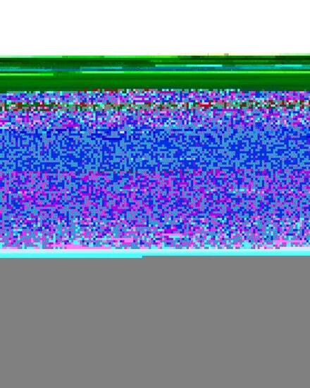 Casquette trucker CLASSIC FOAM Vert Jeune Garçon