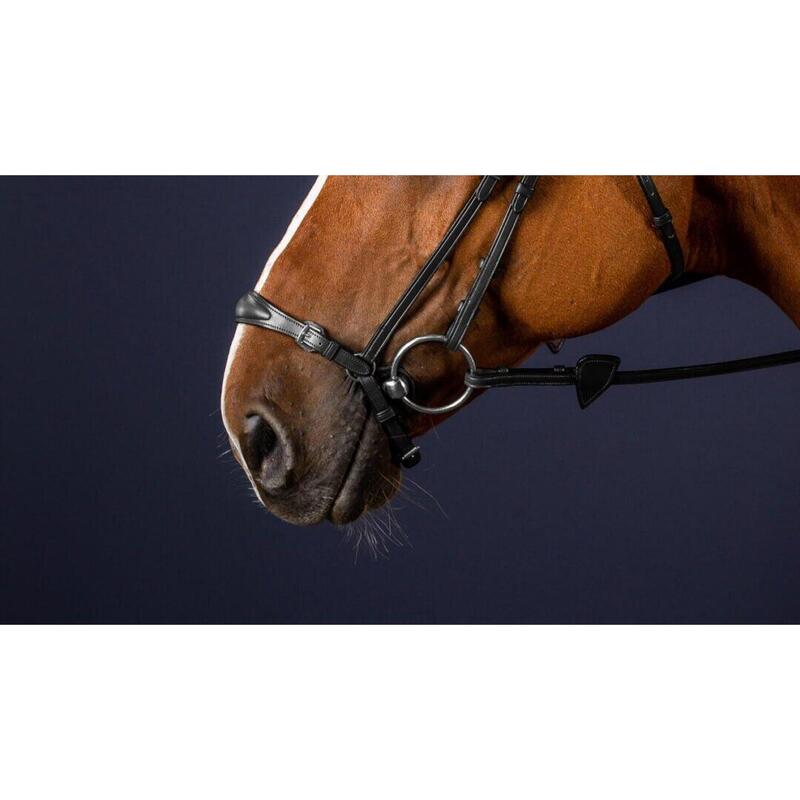 Dy'on Adjustable Drop Noseband Black Cob  -