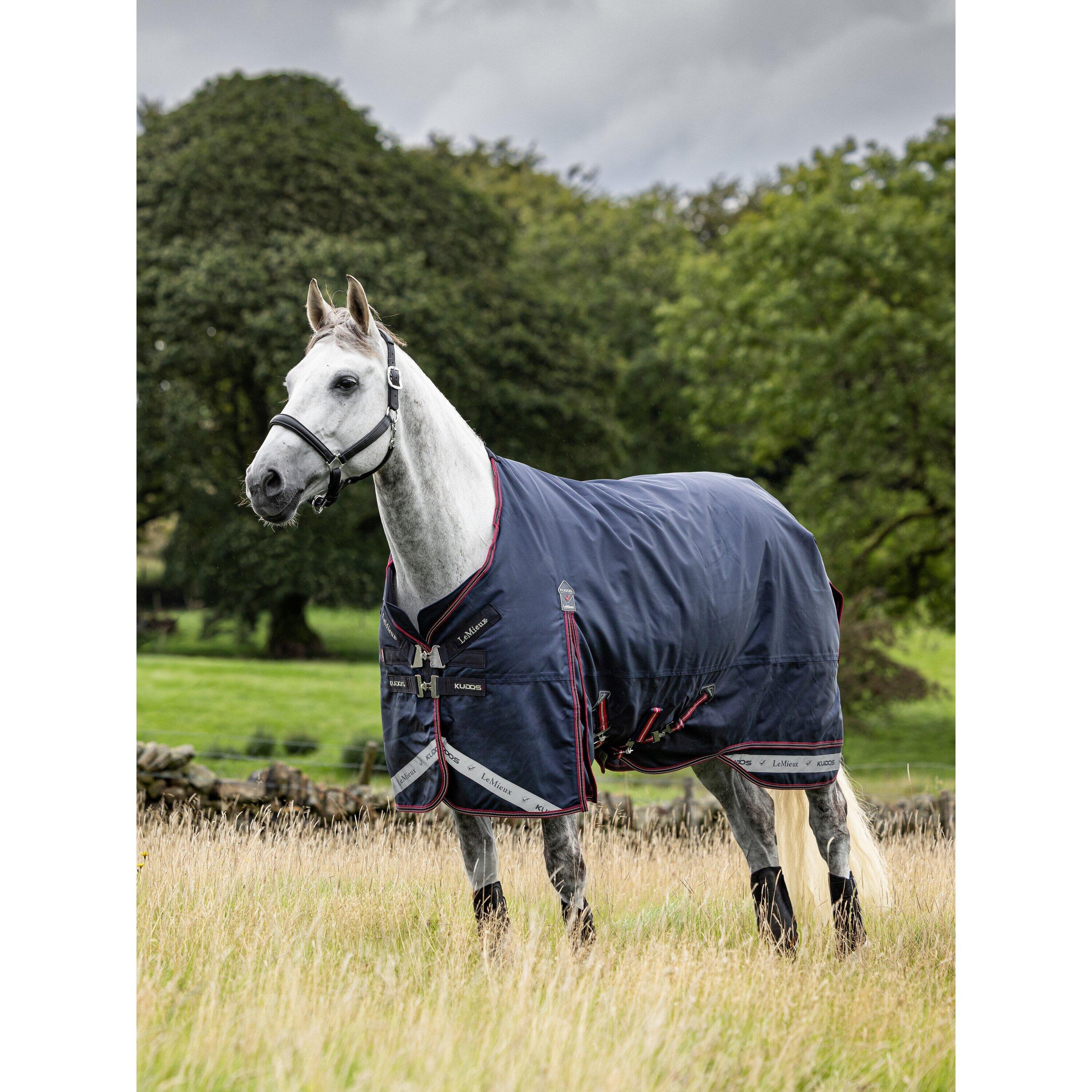 Outdoor paardendeken LeMieux Kudos 100g 2/3