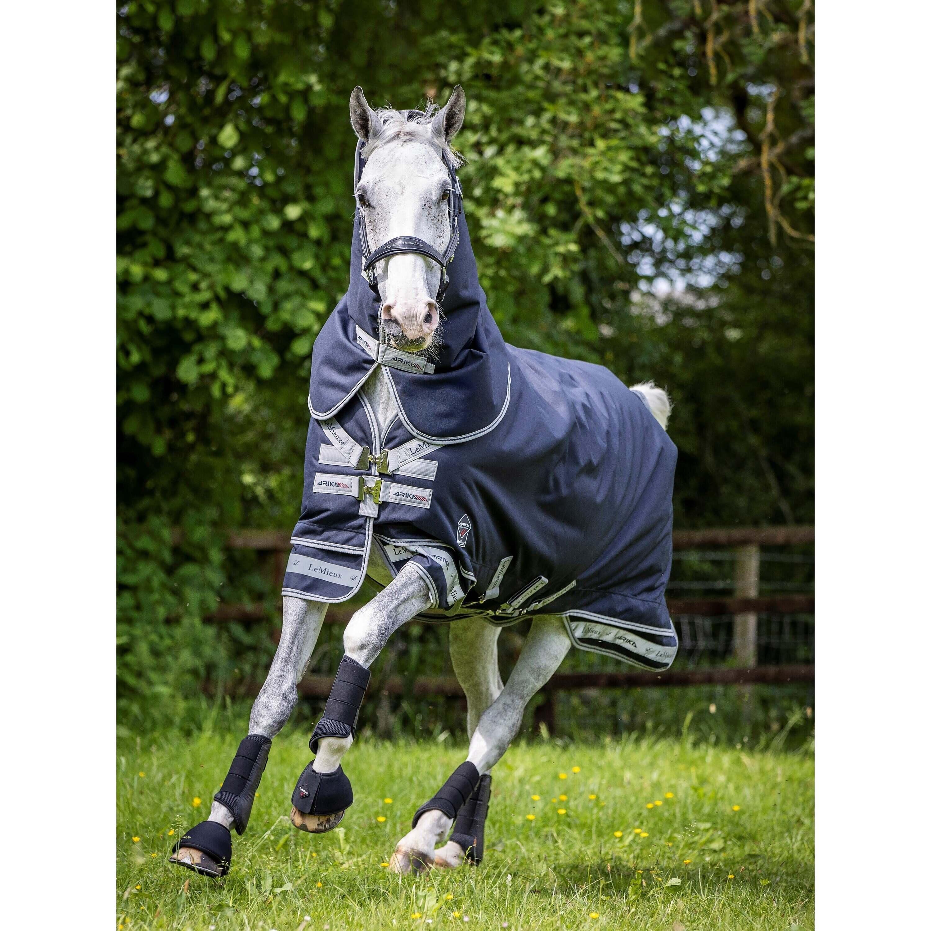 Outdoor paardendeken LeMieux Arika Storm-Tek 200g 3/3