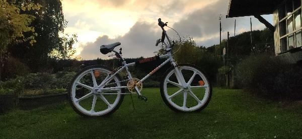 BMX picture