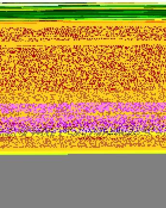 Sweat à capuche zippé MIDNIGHT HIKE BRUSHED Noir Fille