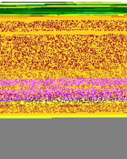 Sweat à capuche zippé MIDNIGHT HIKE BRUSHED Vert Fille