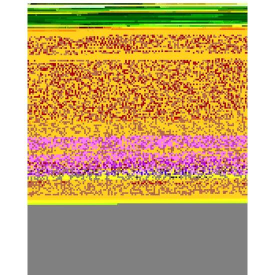 Bluza na zamek dla Dziewczynki MIDNIGHT HIKE BRUSHED Zielony