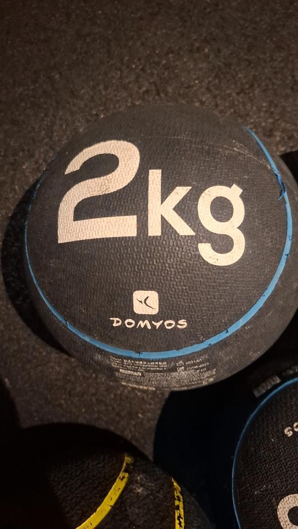 Entre Particuliers - 4 Medicine Balls 3x2Kg et 1x5Kg 3/3