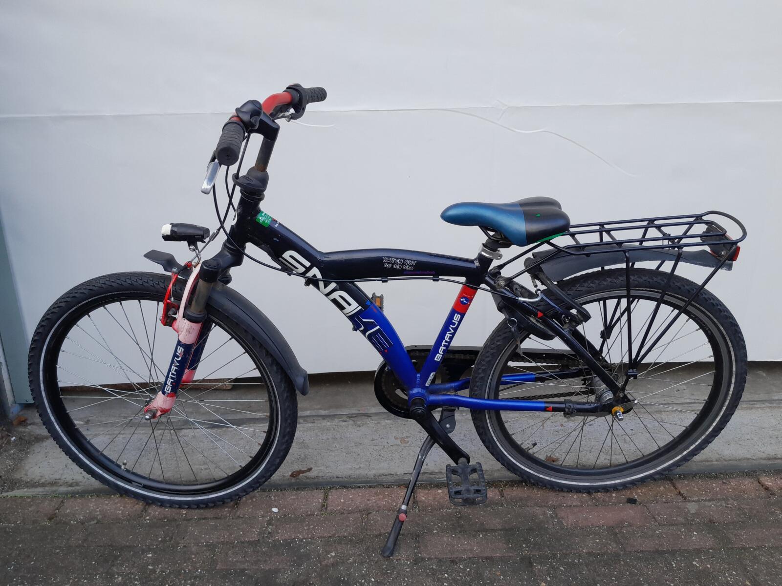 Batavus Snake 3/5