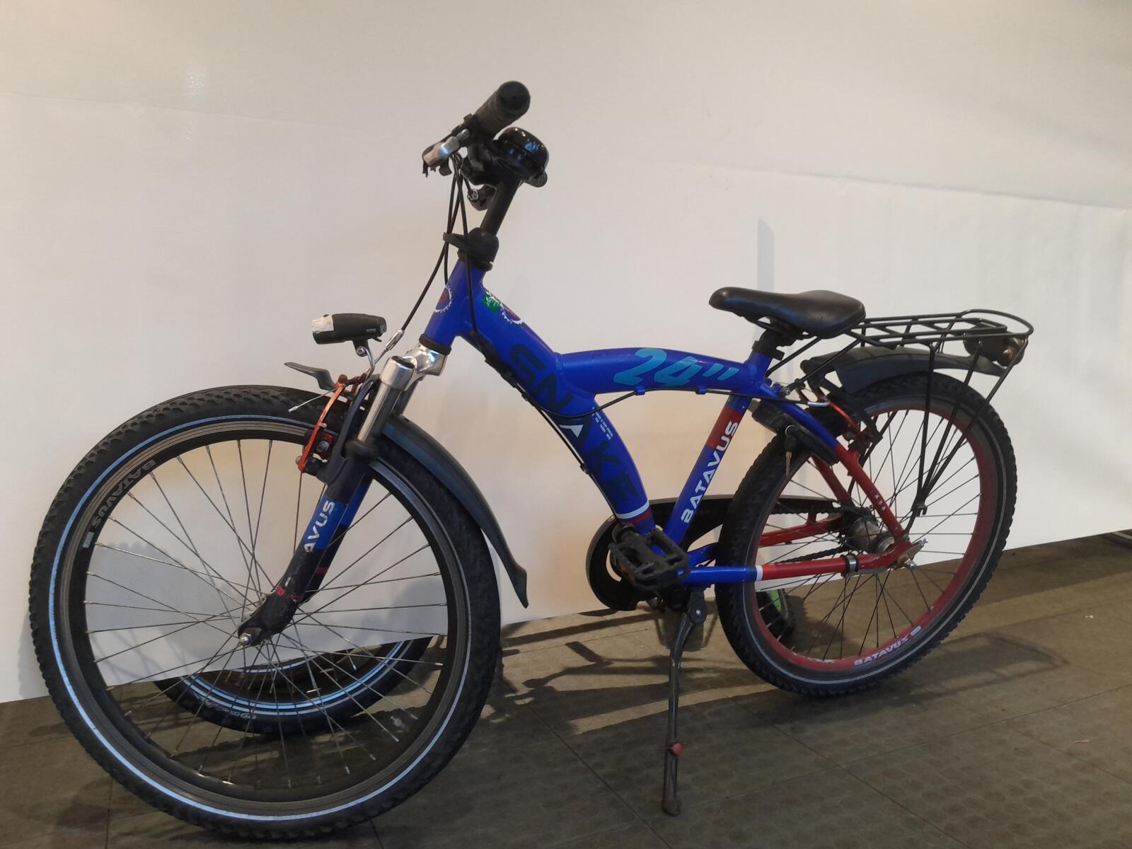 Batavus Snake 3/6