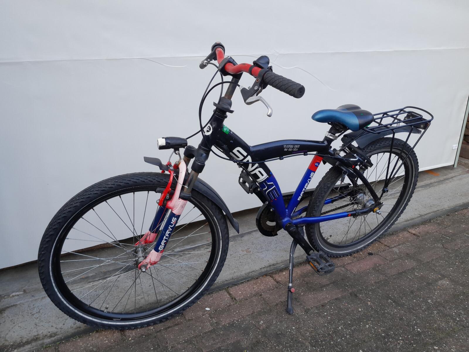 Batavus Snake 4/5