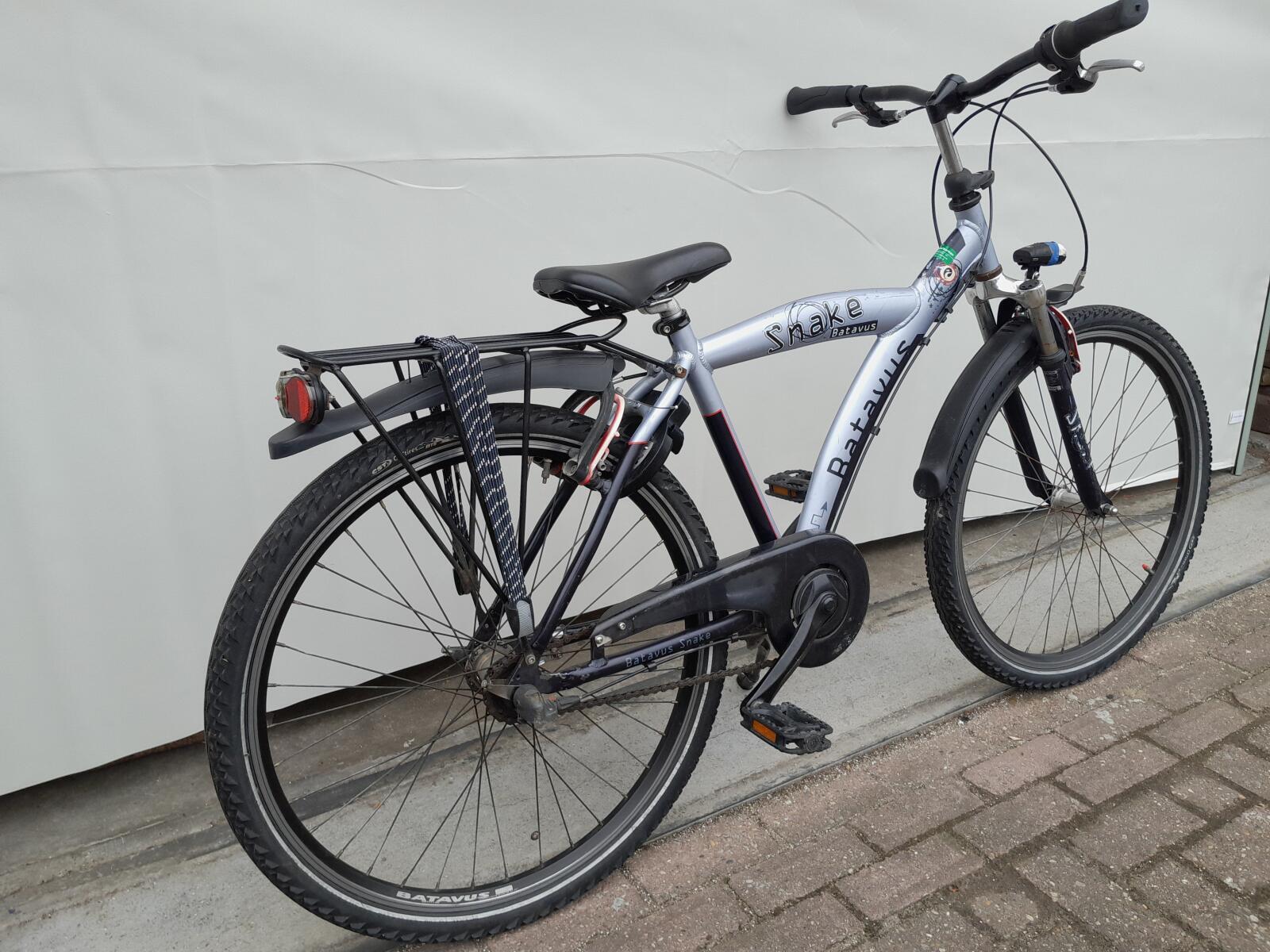 Batavus Snake, blauw 3/5