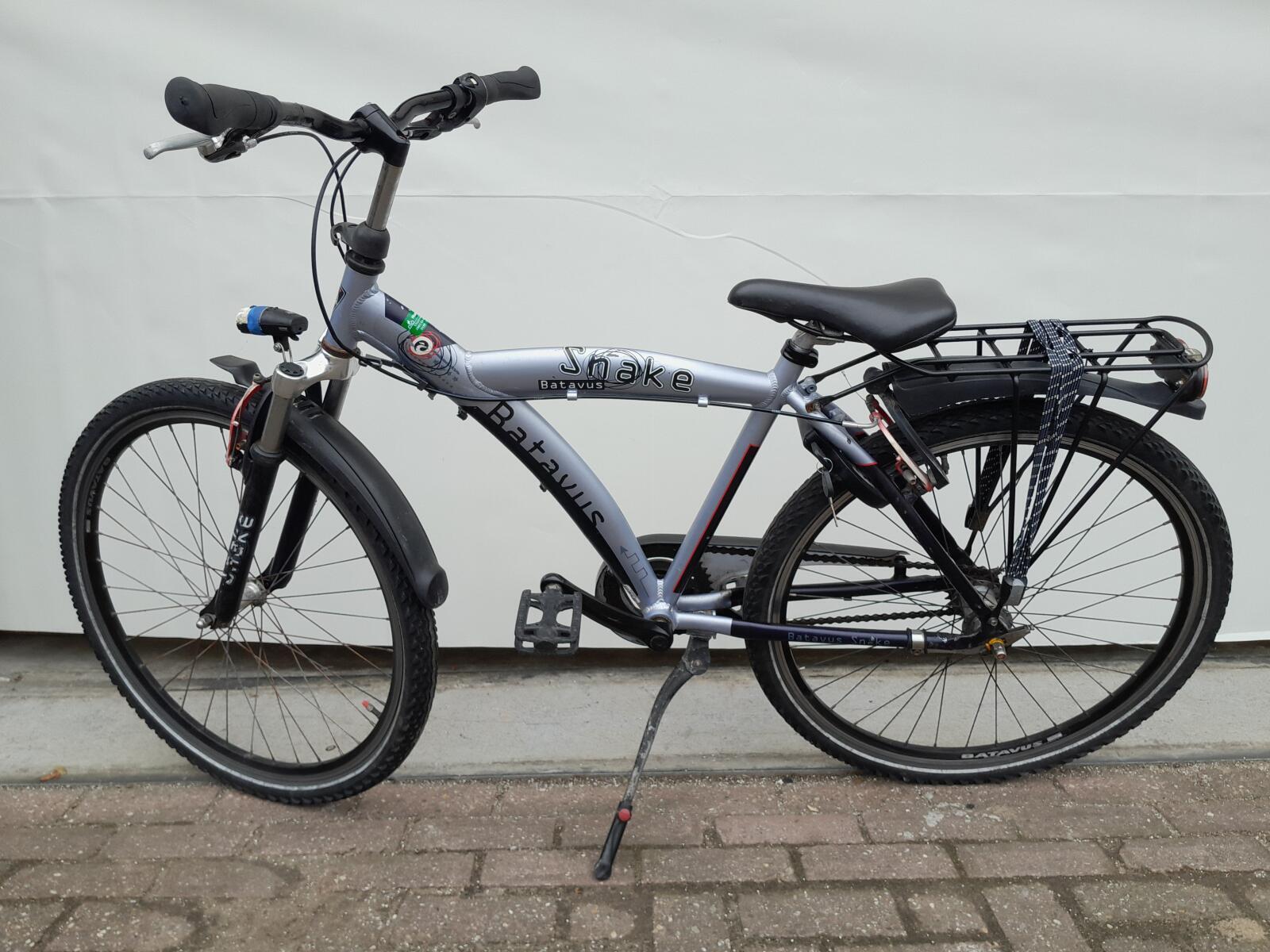 Batavus Snake, blauw 2/5