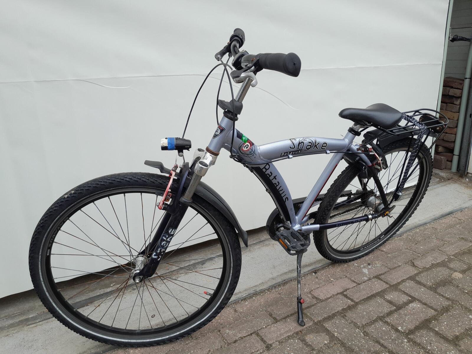Batavus Snake, blauw 4/5