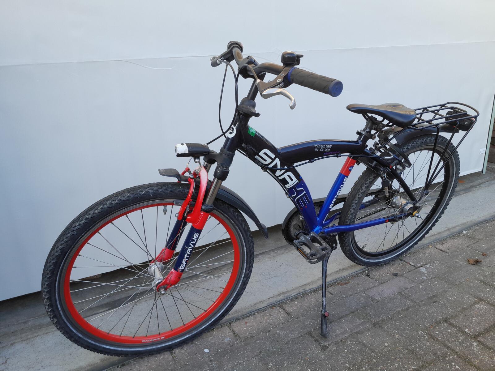 Batavus Snake 3/5