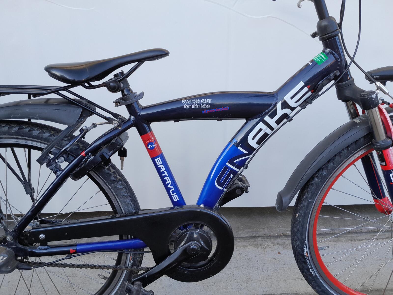 Batavus Snake 4/5