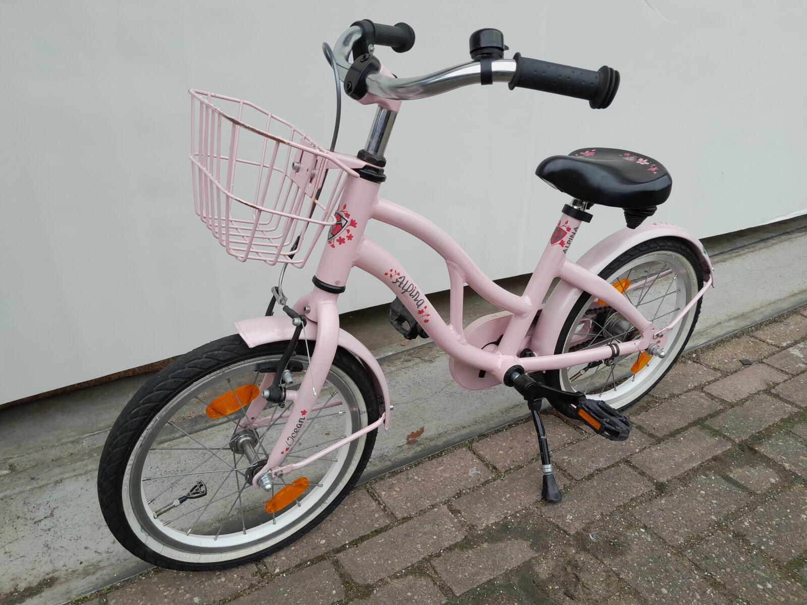 Alpina Ocean, roze 3/5