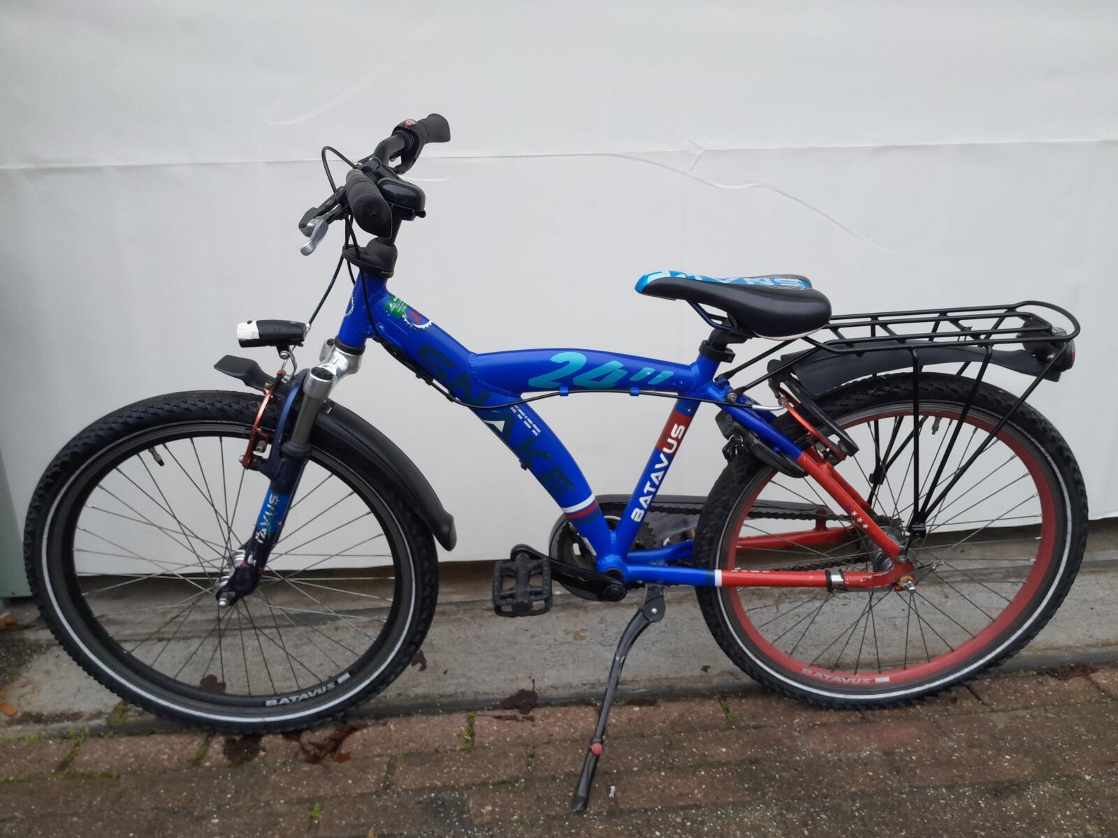 Batavus Snake 3/5