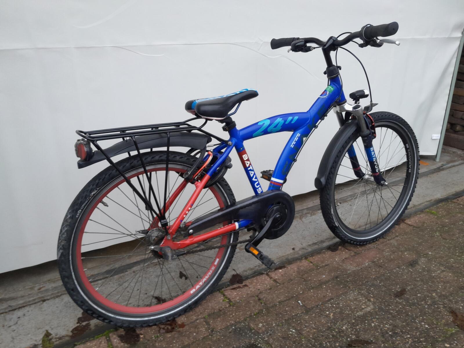 Batavus Snake 2/5