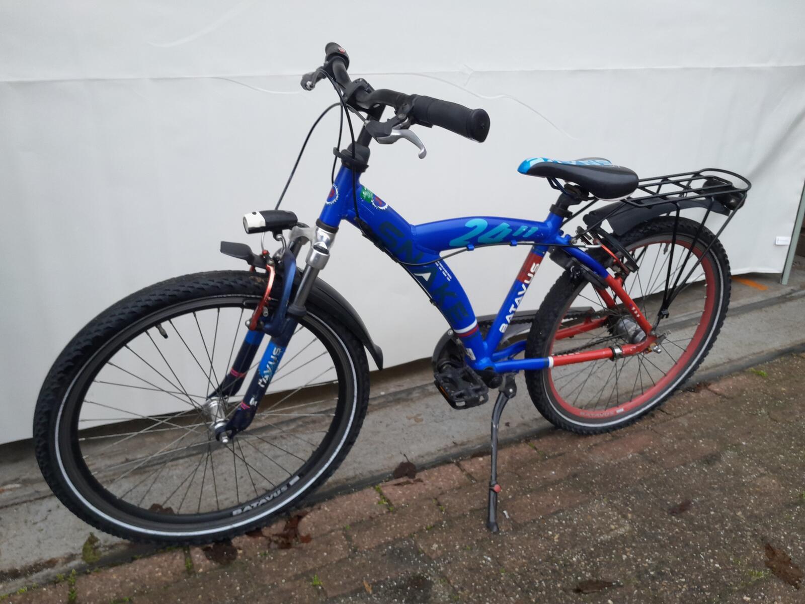 Batavus Snake 4/5