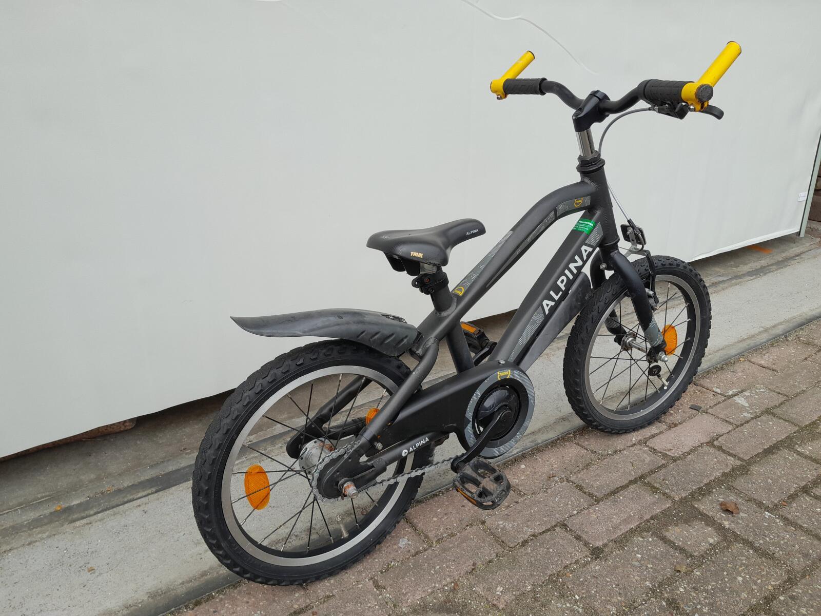 Alpina Trial, zwart 2/5