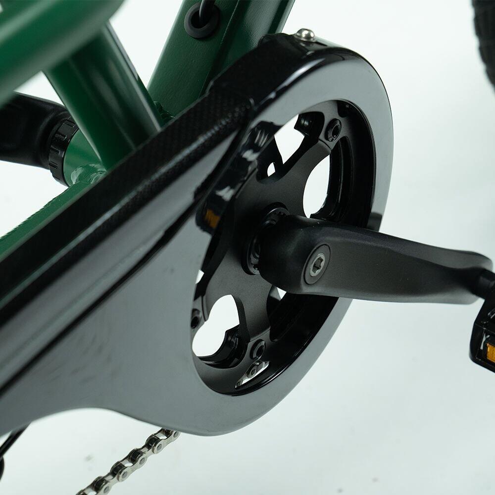 Transer Longtail 624Wh, Shimano Nexus, groen 2/7