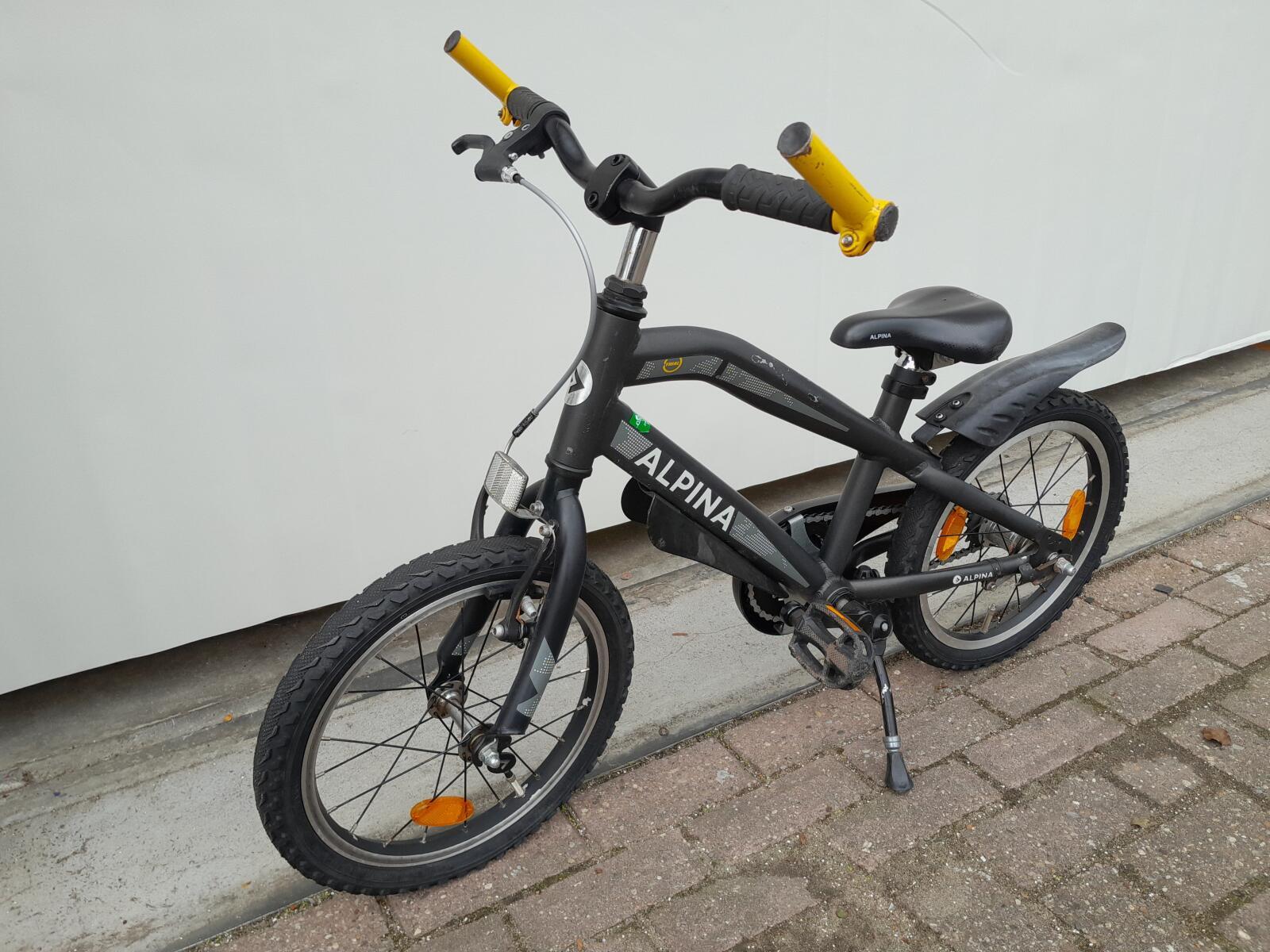 Alpina Trial, zwart 4/5