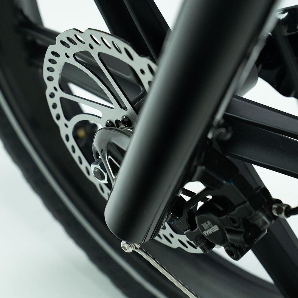 Transer Longtail 624Wh, Shimano Nexus, groen 3/7