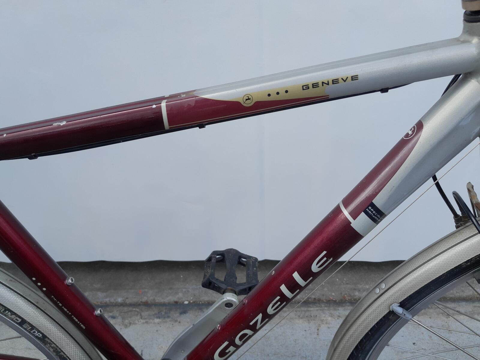 Gazelle Geneva Goldline 3/6