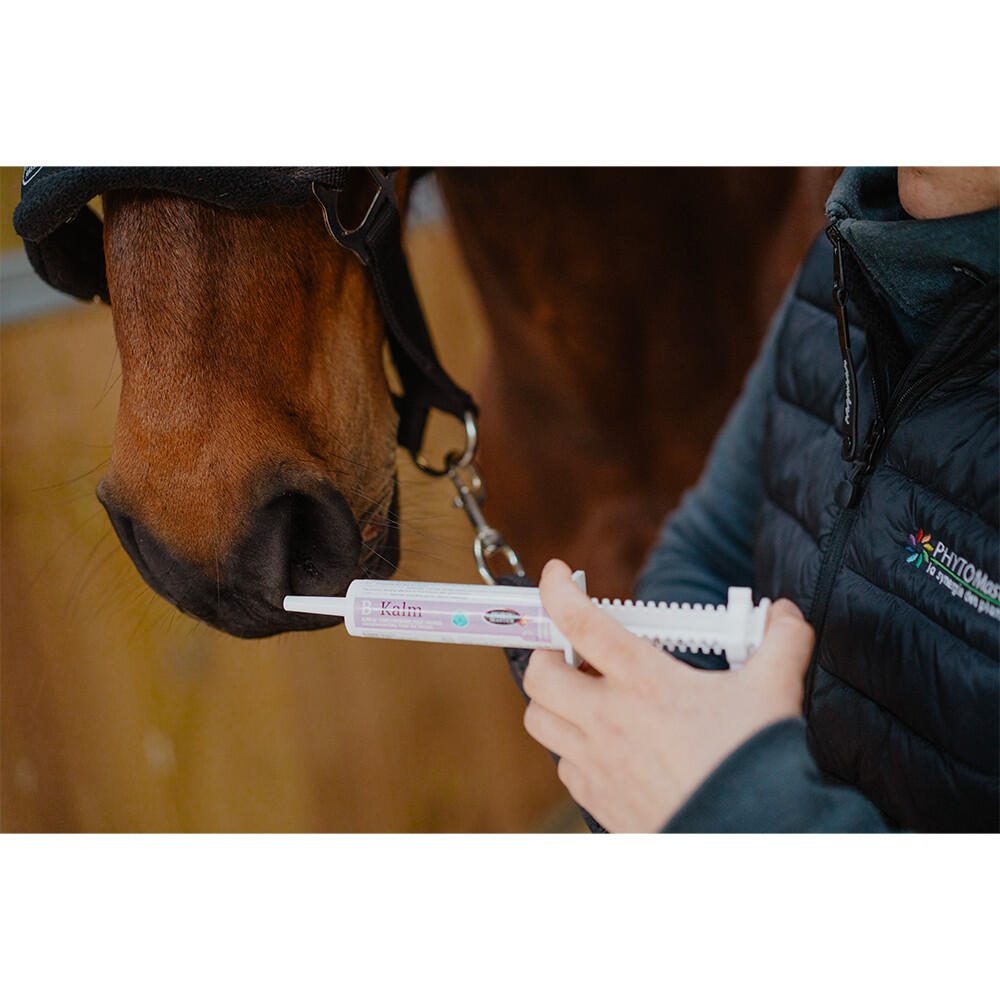 Seringue anti-stress - orale Horse Master B - Kalm 2/2