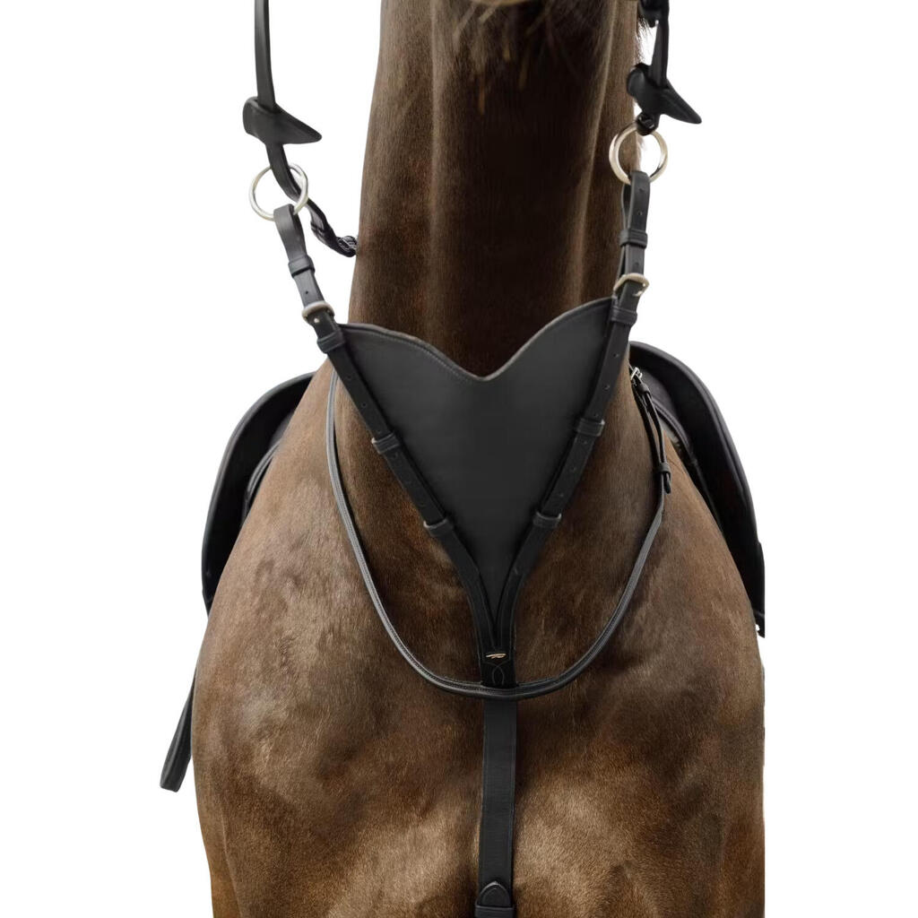Soft full leather horse martingale Dy'on