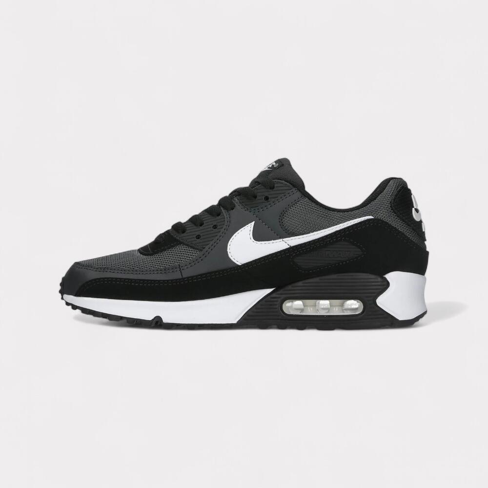 Nike Air Max 90 Iron Grey 3/6