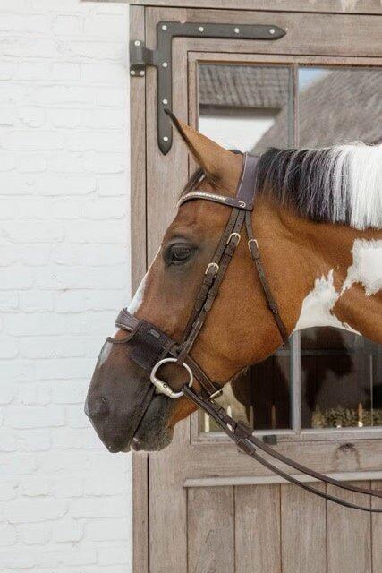 Fliegenmaske für Pferde Kentucky 2/7